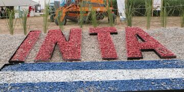 El INTA informó cuánto necesitará vender un productor en Entre Ríos para cubrir los gastos