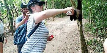 Turista dando de beber Coca Cola a un mono caí\u002E (La Voz)