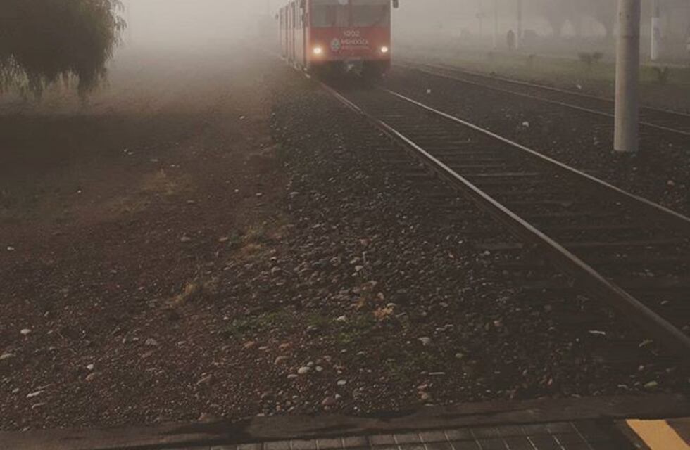 Luego de la lluvia, llegó la niebla a Mendoza