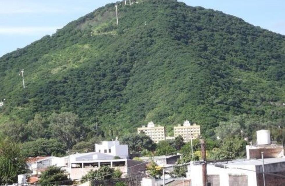 Prometen plantar 1500 árboles en el cerro San Bernardo