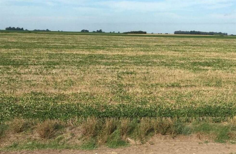 El Gobierno nacional empieza a ponerse al día con Santa Fe y envía $400 millones