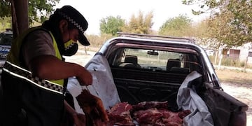 Los Romanos: secuestran 400 kilos de carne faenada ilegalmente\u002E (SECPT)