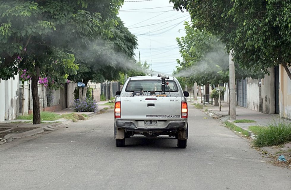 Operativo Dengue: distintas áreas de gobierno trabajan en toda la ciudad capital