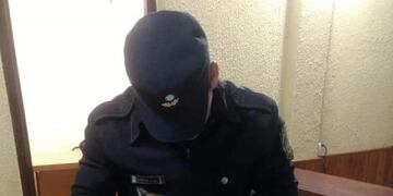 Capioví: fue rescatado el gato que sufrió maltrato y que se vio en un video viral\u002E (MisionesOnline)