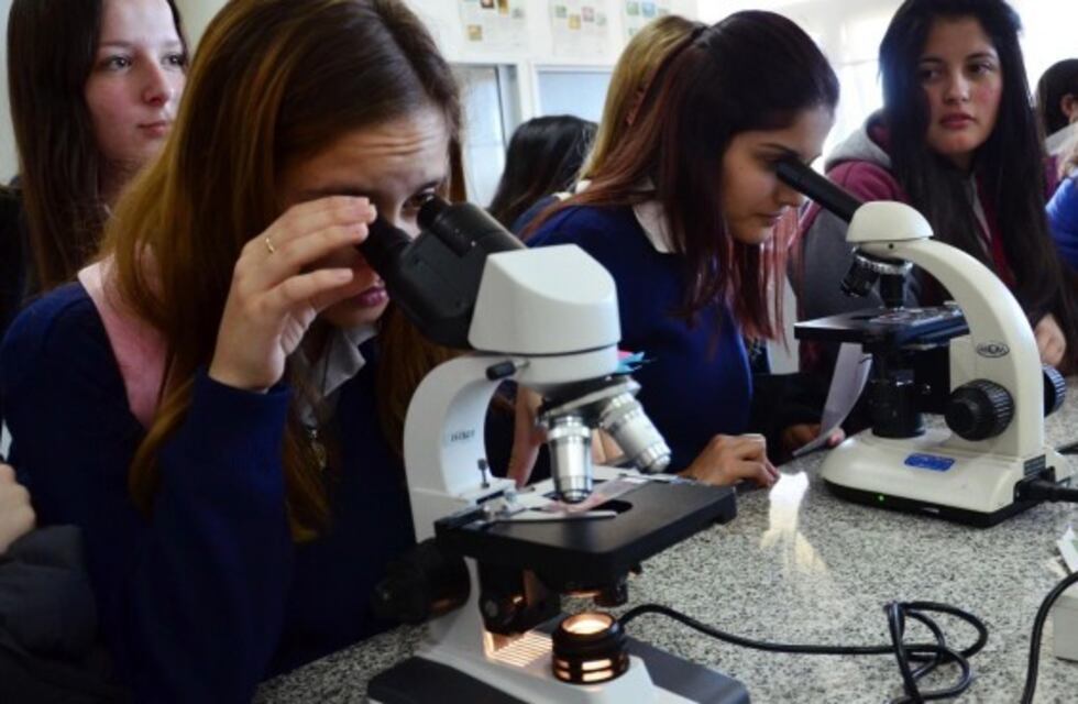 Comienza la cuarta edición de "Expo UNRN"