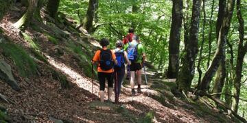 Caminata por el mes del senderismo en Alta Gracia\u002E