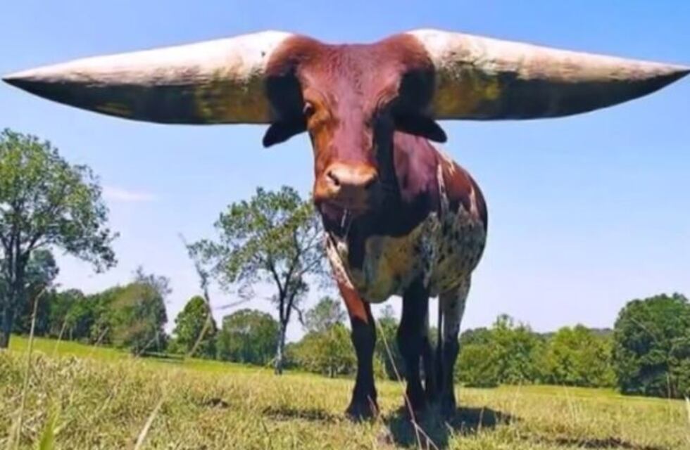 Ya tiene fecha el Festival de la Guampa en Empedrado