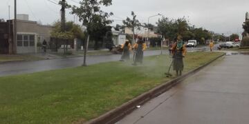 El desmalezado sirve para evitar la proliferación de insectos (Prensa Municipalidad de Rafaela)