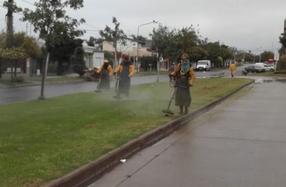 Intensificación de desmalezado en espacios públicos