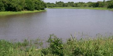 Maltrato animal: hallaron una yegua abandonada con la pata quebrada\u002E (Web)\u002E