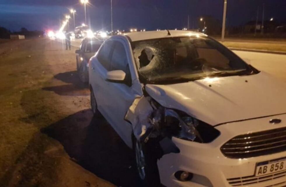 Un automovilista salió ileso tras chocar contra un caballo