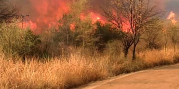Incendios forestales sin tregua\u002E (Foto: Gobierno de Córdoba)\u002E