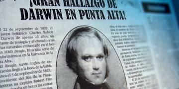 Darwin en Punta Alta