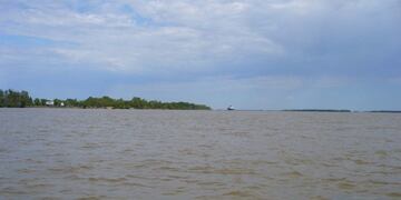 Tras la disputa, el arma terminó en las aguas del Paraná\u002E