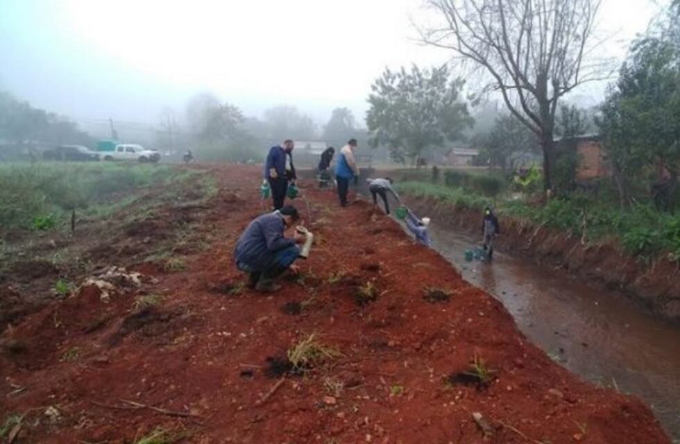 Sigue la recuperación del Arroyo Elena en Eldorado