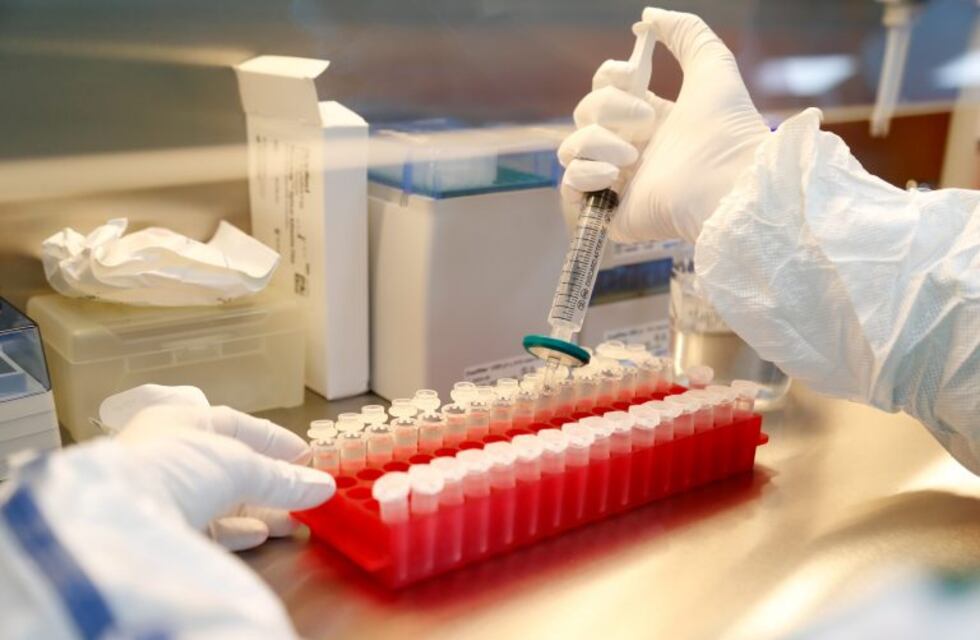 Salta sumó 233 casos de coronavirus y 19 personas murieron en las últimas 24 horas