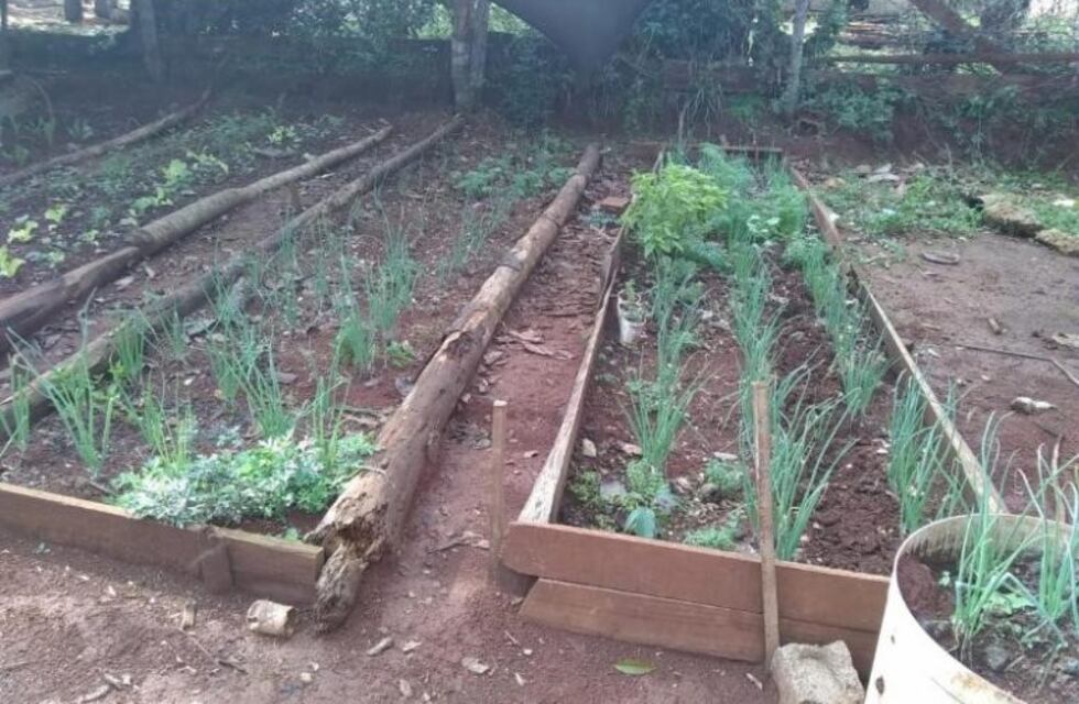 Vecinos de Eldorado organizan huertas en los barrios