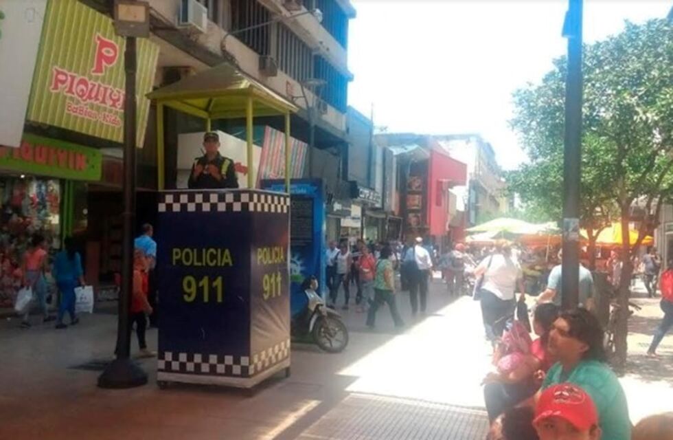 Refuerzan la seguridad en el microcentro por el operativo felices fiestas