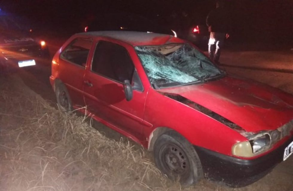 Despeñaderos: automovilista herido tras chocar un caballo