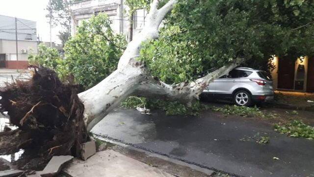 Un árbol cayó sobre un automóvil debido a las ráfagas\u002E (@radio_eme)
