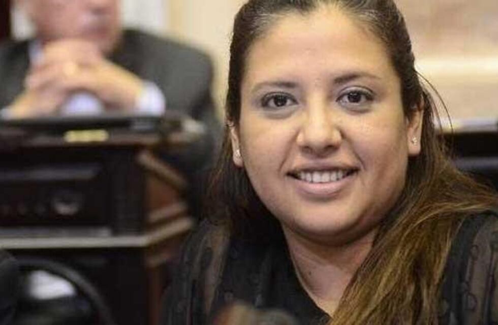 "Creo que el macrismo lo lleva al recinto porque tienen los números para sancionar el proyecto", dijo Morales sobre el Presupuesto 2019