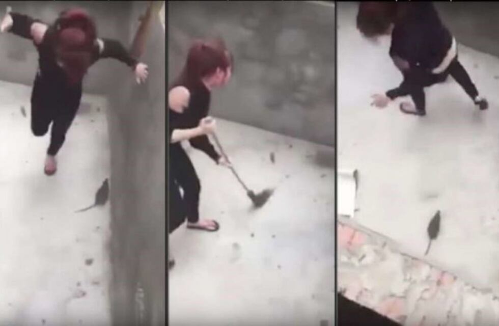 El video de esta mujer peleando contra una rata "gigante" se mega viralizó en Internet