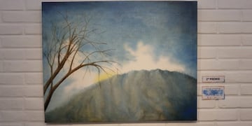 Se premió a los ganadores del certamen “Salón de Artes Visuales” de Carlos Paz