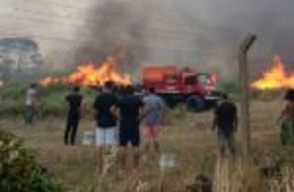 Bergman advirtió que el incendio de Pinamar habría sido intencional