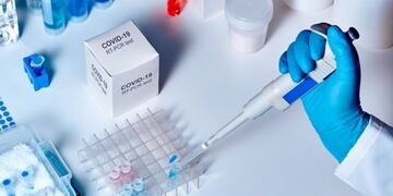 El Conicet La Plata y la UNLP procesan 800 muestras diarias de casos sospechosos de coronavirus que llegan de toda la provincia de Buenos Aires (Twitter Conicet La Plata)