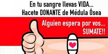Buscan donantes de médula ósea para ayudar a Olivia