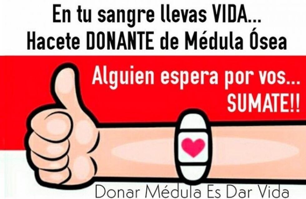 Buscan donantes de médula ósea para ayudar a Olivia