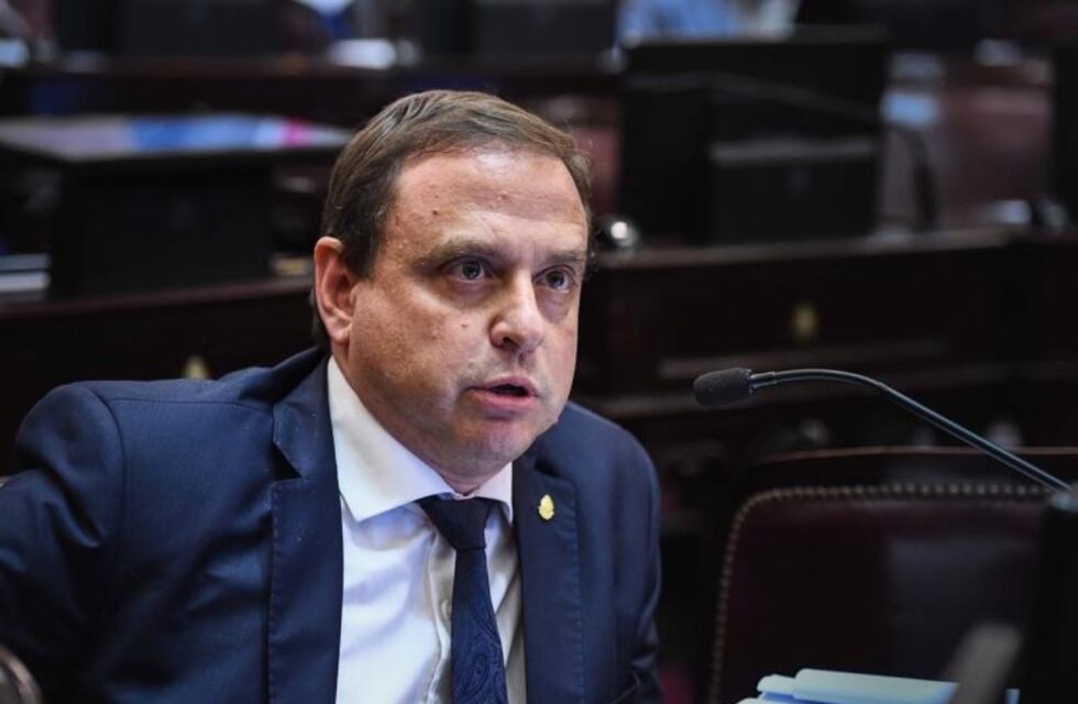 Snopek opinó sobre las medidas que propone el presidente Fernández