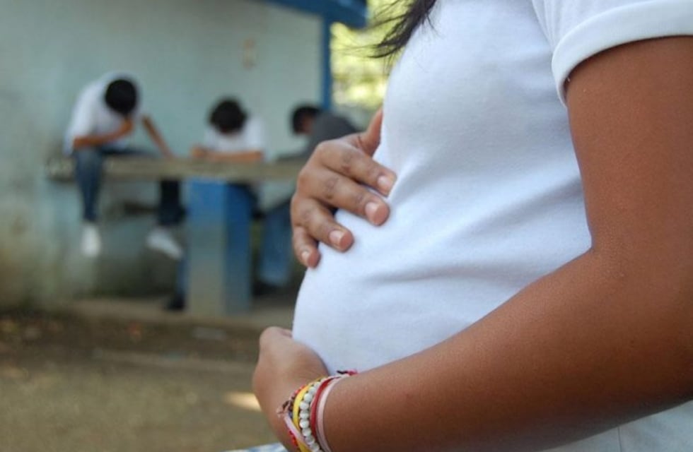 Salta: tiene 12 años, está embarazada de su padre y darán el bebé en adopción