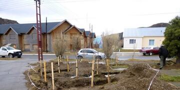 El Chaltén: se conmemora el Mes del Árbol con forestación de vegetación nativa