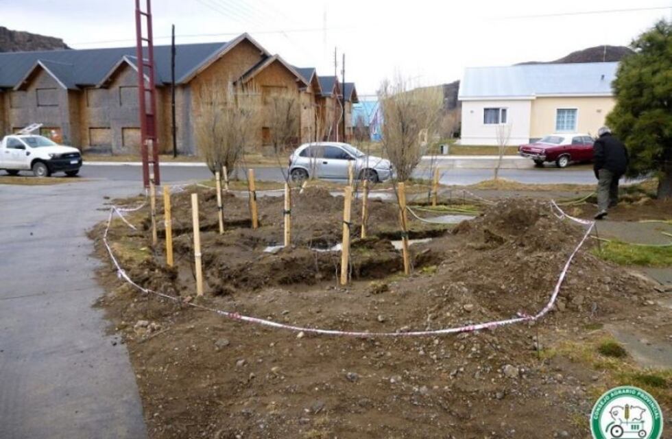 El Chaltén: se conmemora el Mes del Árbol con forestación de vegetación nativa