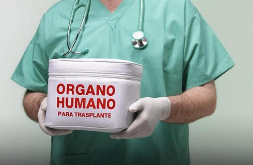 Ley Justina: record de donantes en Mendoza