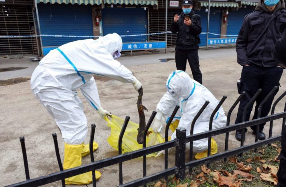 Las impactantes imágenes del mercado clandestino donde se originó el coronavirus en China