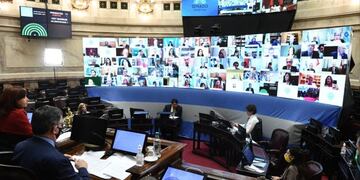 (Fotos: Prensa Senado)