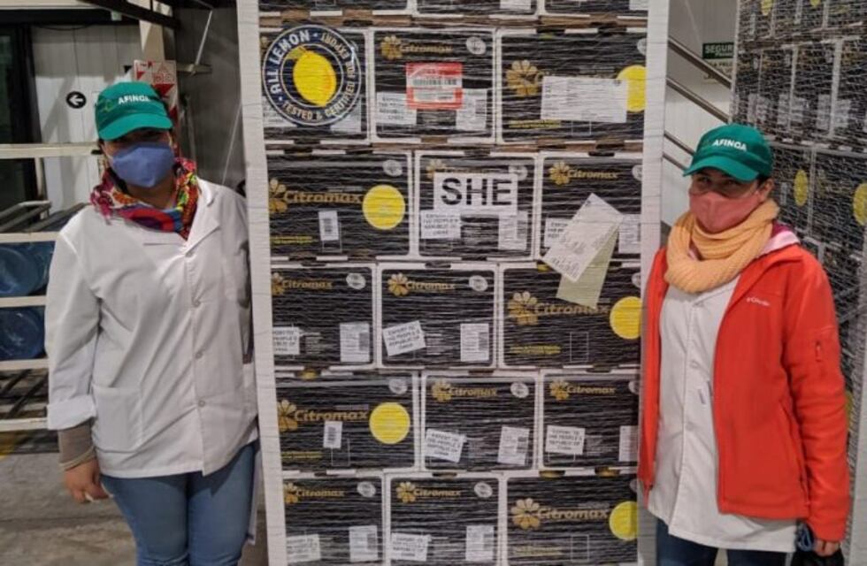 Tucumán envió más de 22 toneladas de limón a China