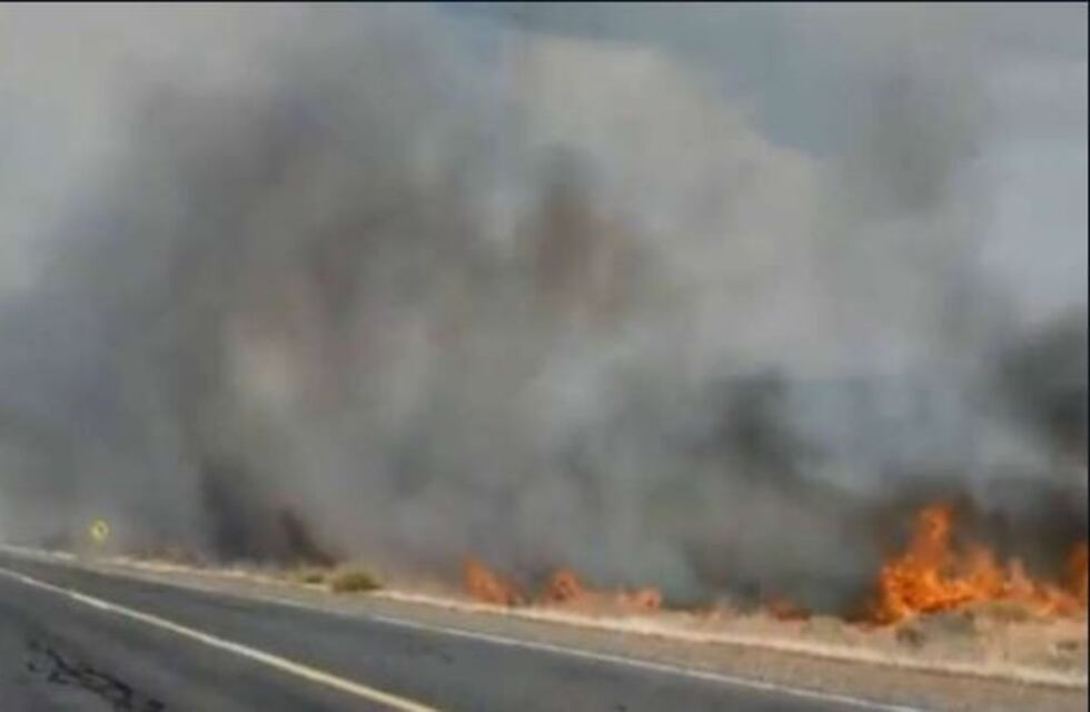 Neuquén: controlaron el incendio en la zona del Collon Cura