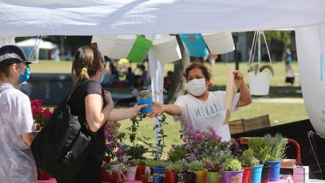 Las capacitaciones son gratuitas y se dictarán de forma online. (Municipalidad de La Plata)