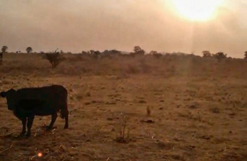 Video: vecina de Estancia Santa Rosa pide con urgencia la presencia de bomberos
