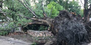 Destrozos en Icho Cruz