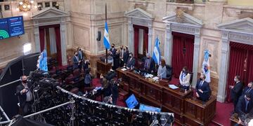 Sesión en el Senado. (Foto: Clarín)