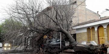 Gentileza Orlando Tirapu /Diario Ciudadano