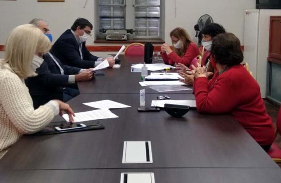 Acompañantes terapéuticos, más cerca de tener marco regulatorio