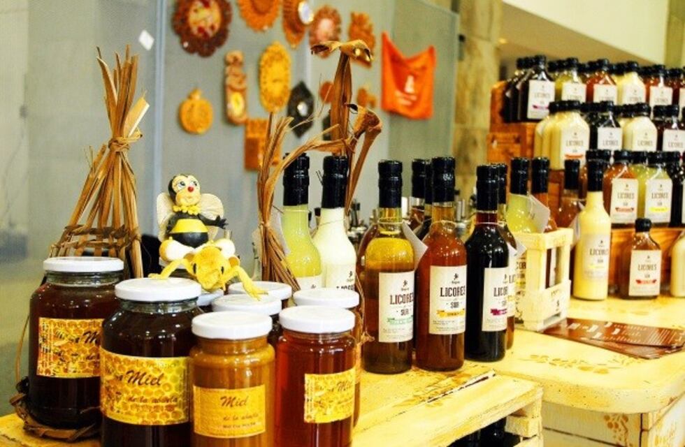 Salta creará un fondo de emergencia para asistir a pequeños emprendedores