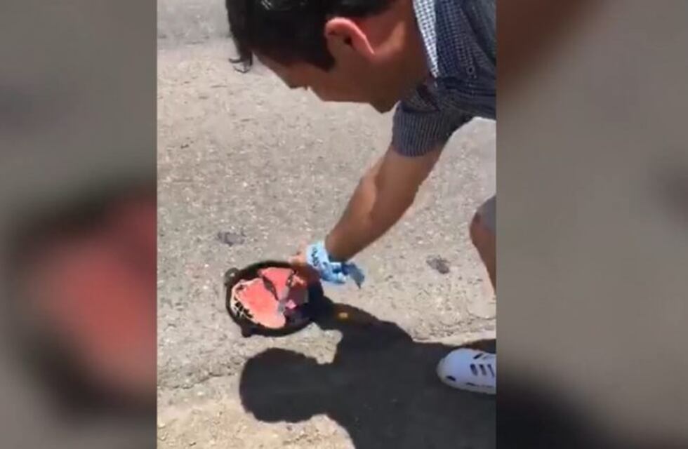 Hacía tanto calor que cocinó un churrasco en el asfalto de la ruta 34
