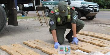 Más de 700 kilos de marihuana decomisados