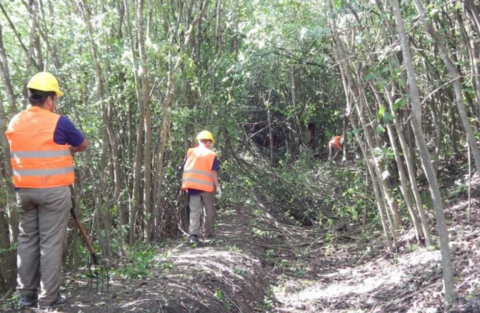 Se recuperan las acequias de La Granja